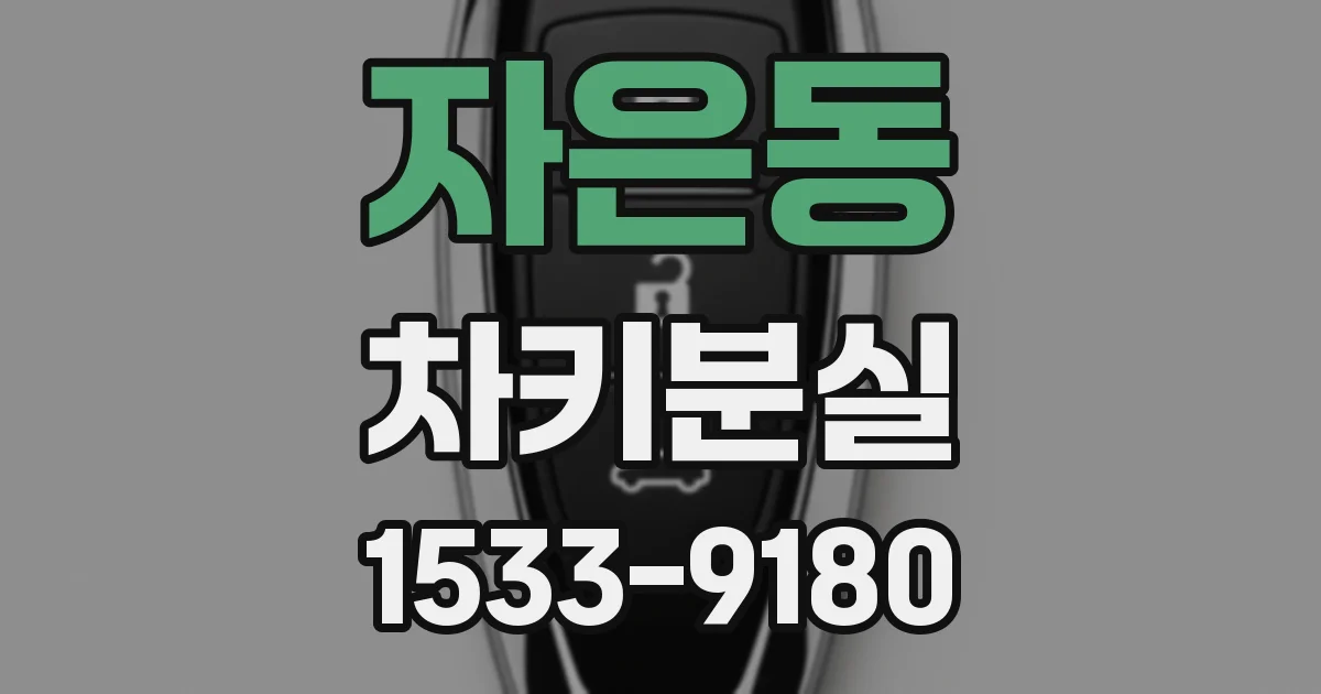 자은동 차키분실