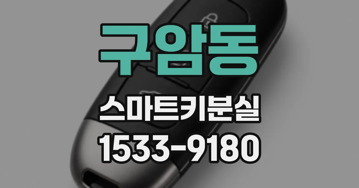 구암동 스마트키분실