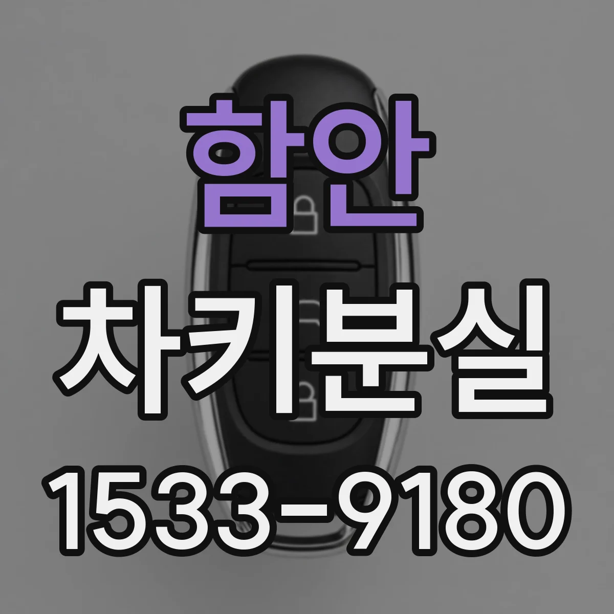 함안 차키분실