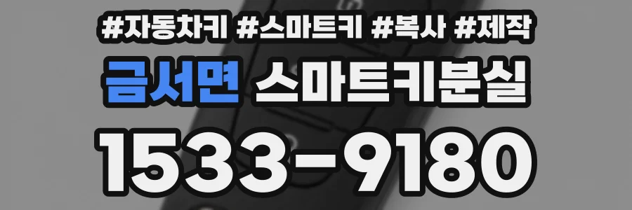 금서면 스마트키분실