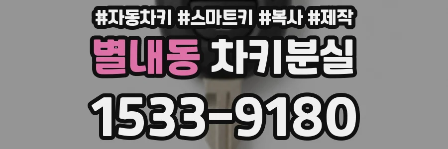 별내동 차키분실