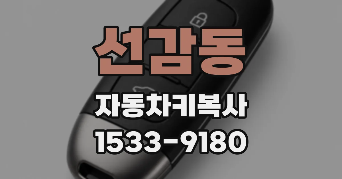 선감동 자동차키복사