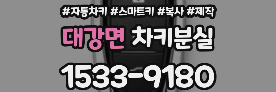 대강면 차키분실