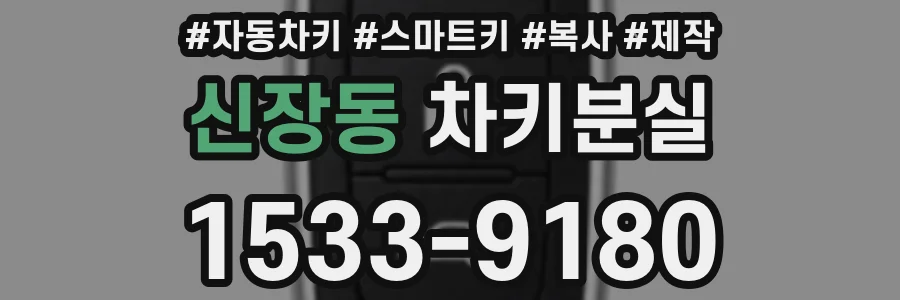 신장동 차키분실