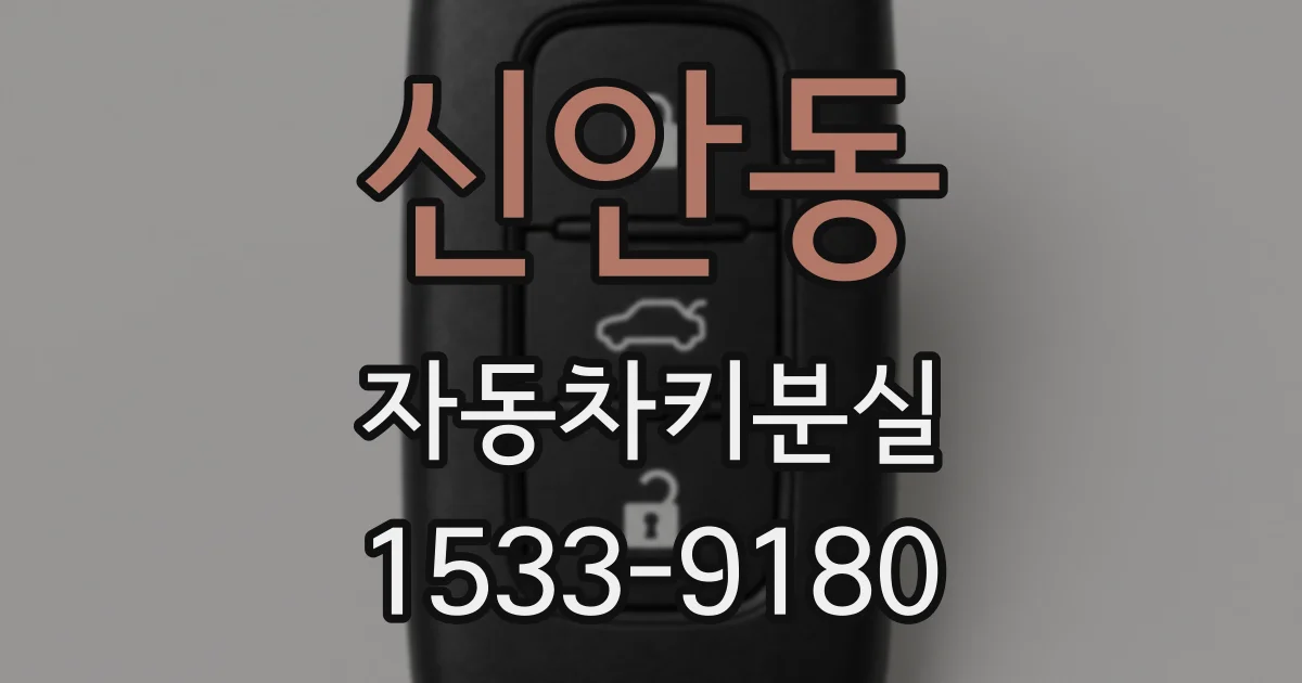 신안동 자동차키분실