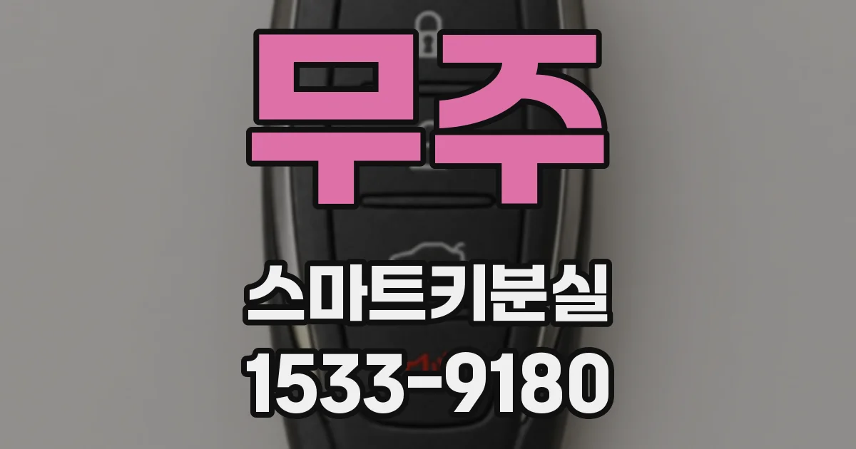 무주 스마트키분실