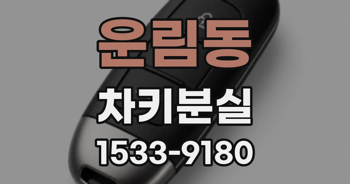 운림동 차키분실