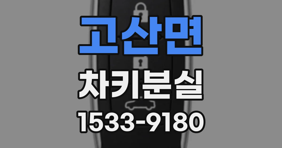 고산면 차키분실