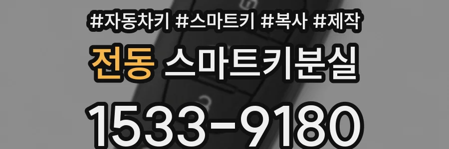 전동 스마트키분실