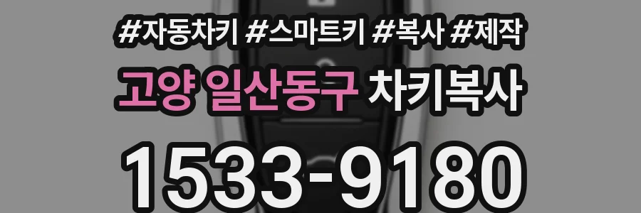 고양 일산동구 차키복사