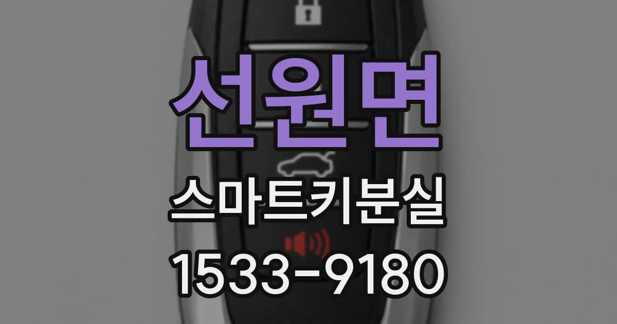 선원면 스마트키분실