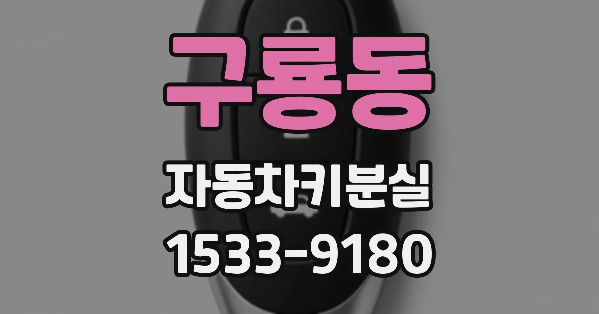 구룡동 자동차키분실