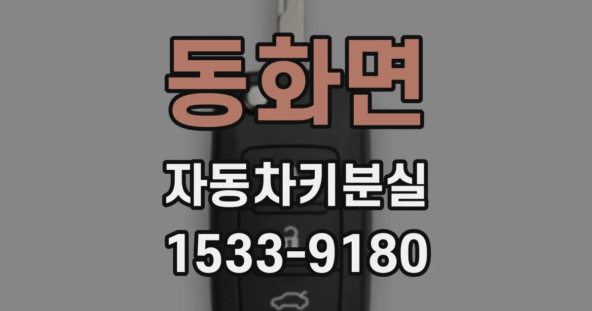 동화면 자동차키분실