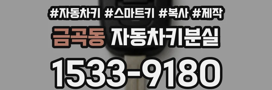 금곡동 자동차키분실