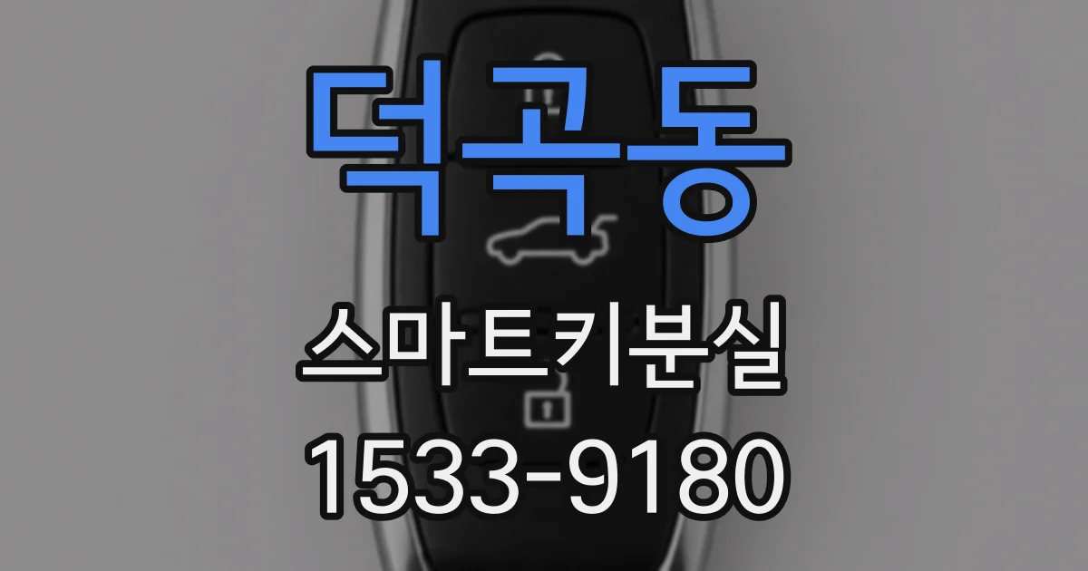 덕곡동 스마트키분실