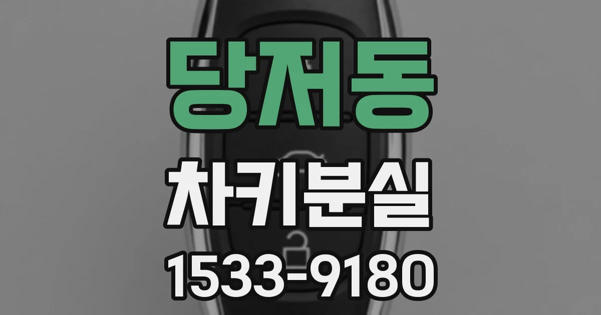 당저동 차키분실
