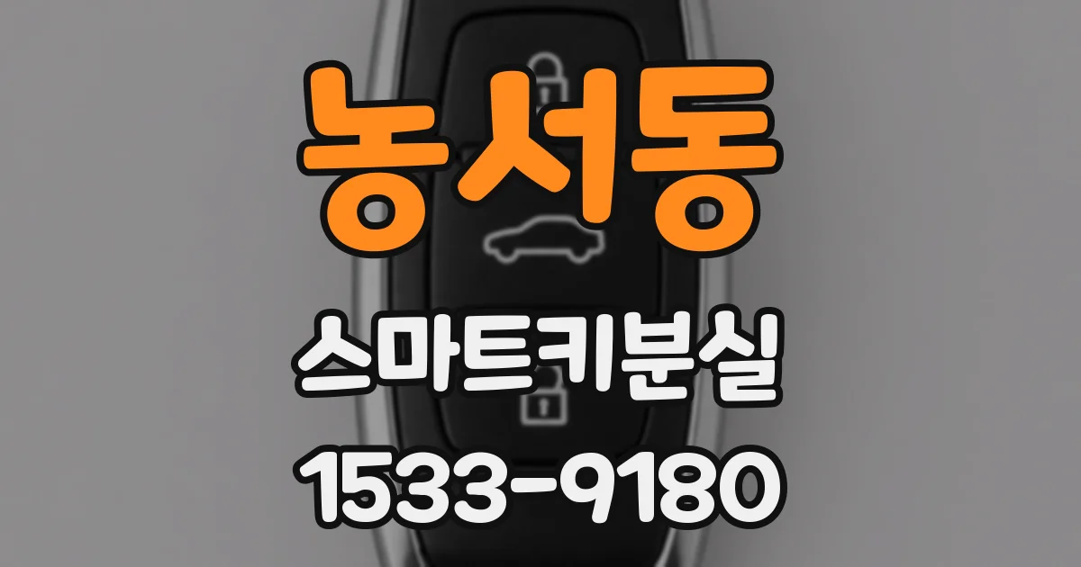 농서동 스마트키분실