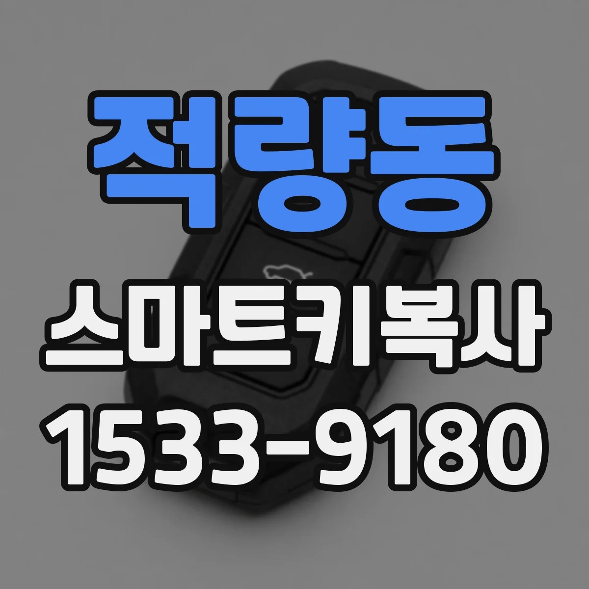 적량동 스마트키복사