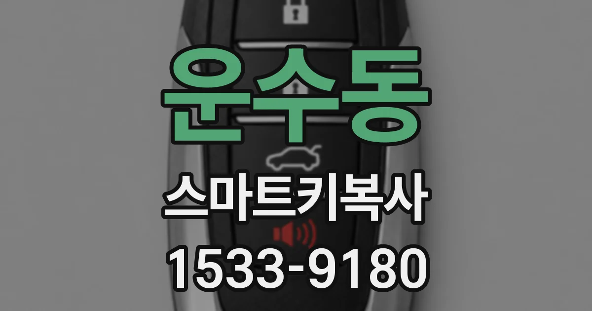 운수동 스마트키복사