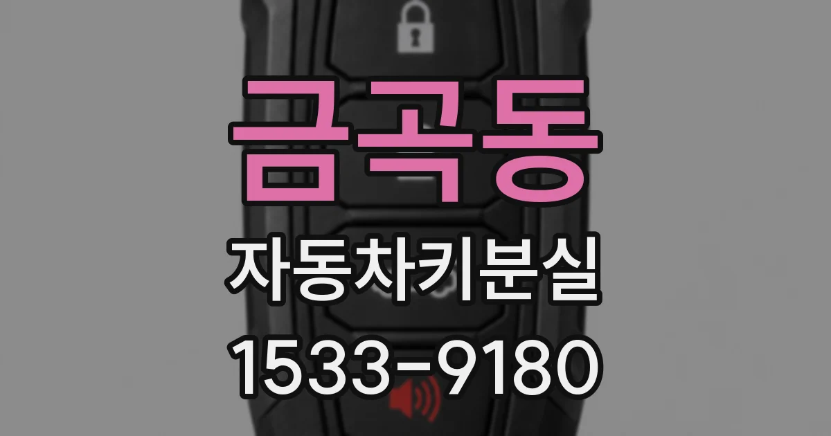 금곡동 자동차키분실