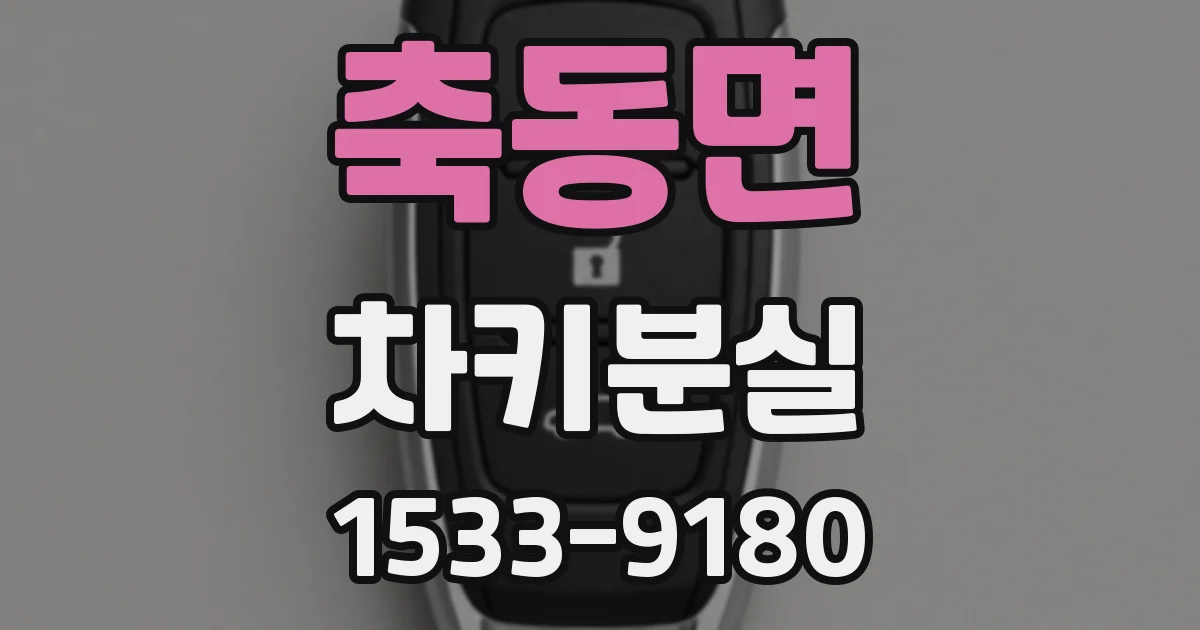 축동면 차키분실
