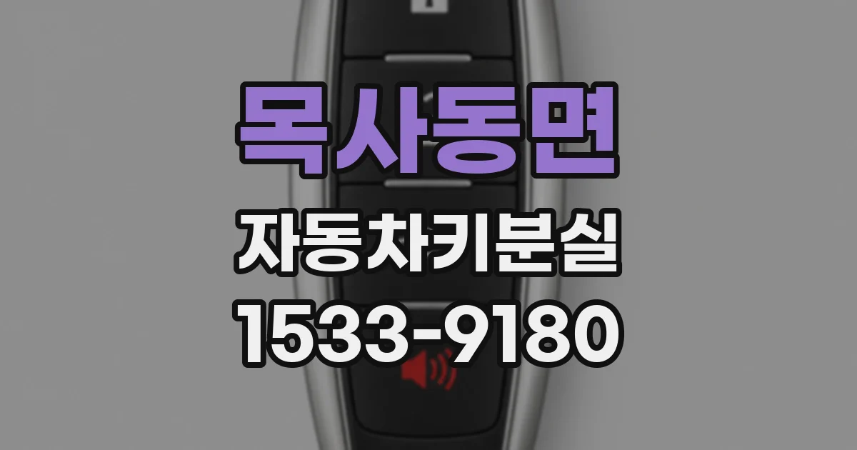 목사동면 자동차키분실