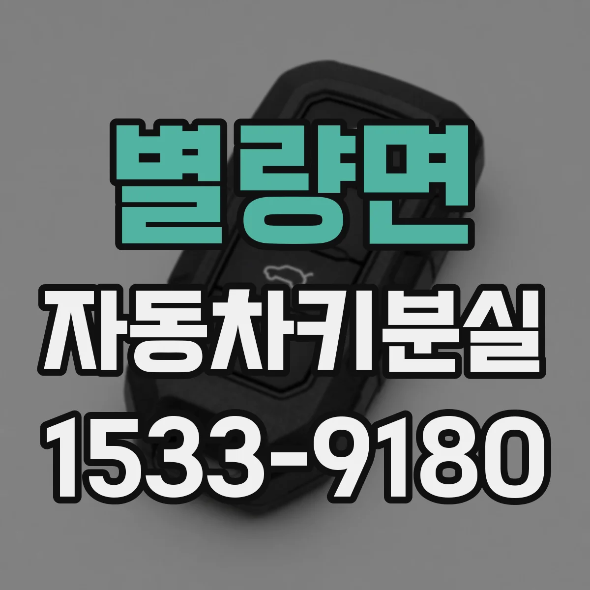 별량면 자동차키분실