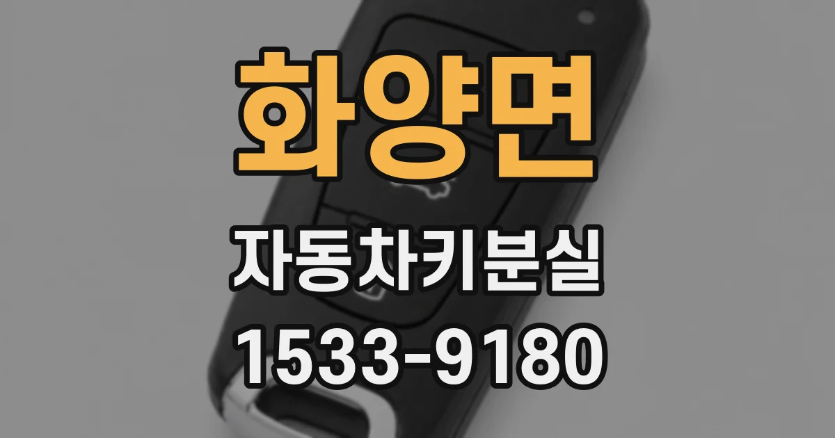 화양면 자동차키분실
