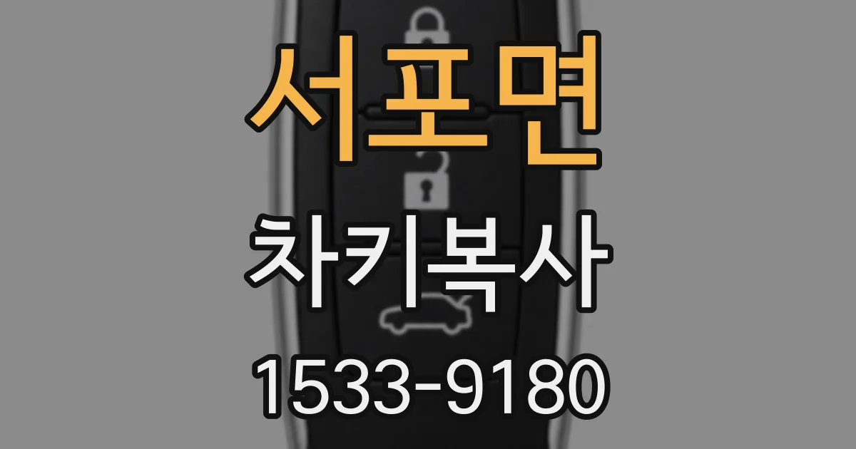 서포면 차키복사