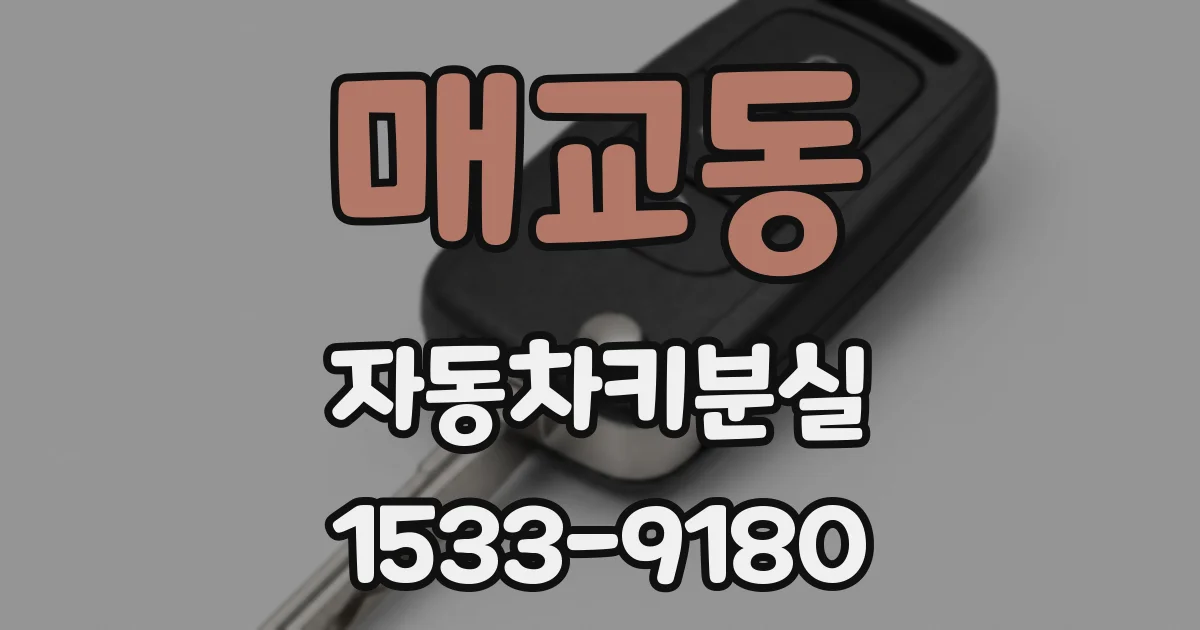 매교동 자동차키분실
