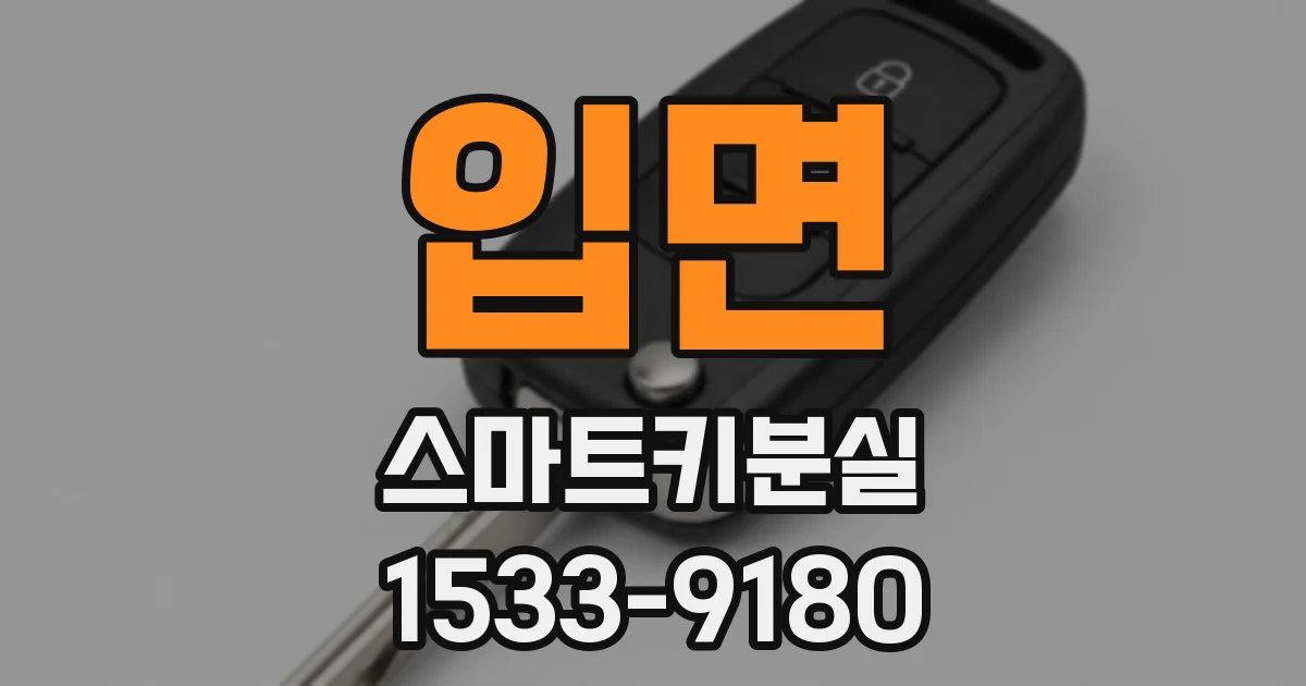 입면 스마트키분실