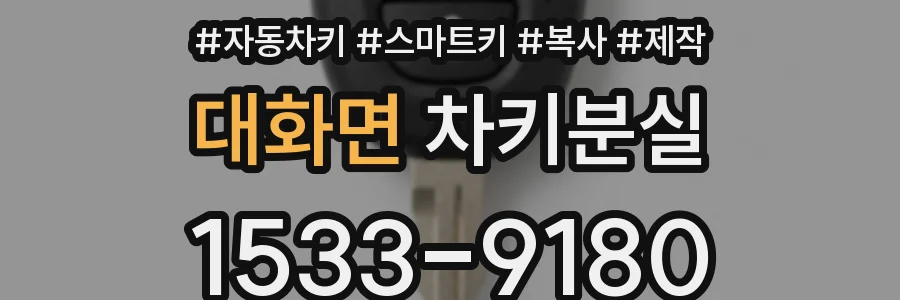 대화면 차키분실
