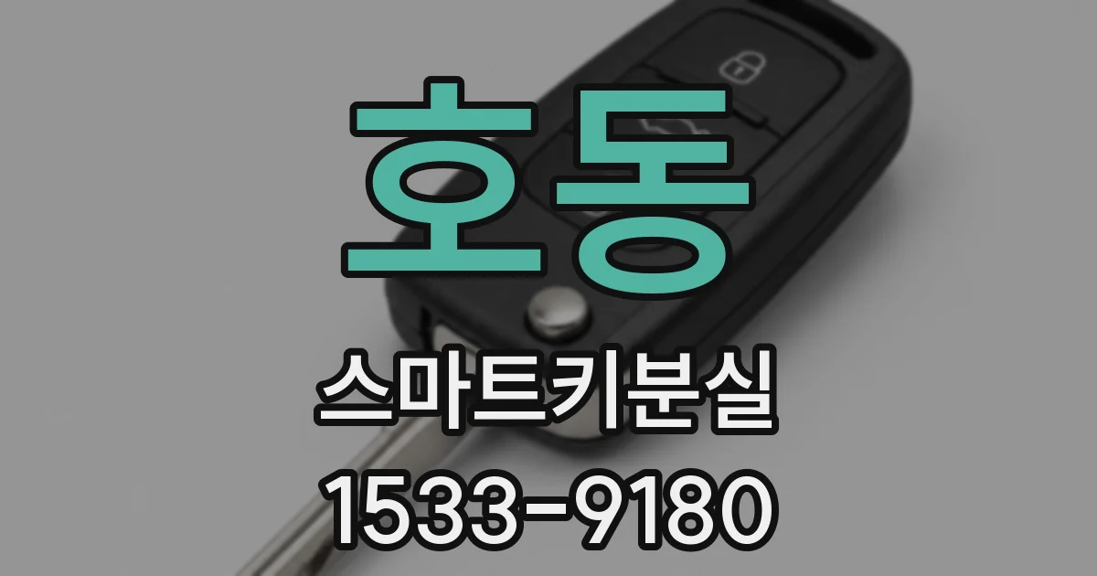 호동 스마트키분실