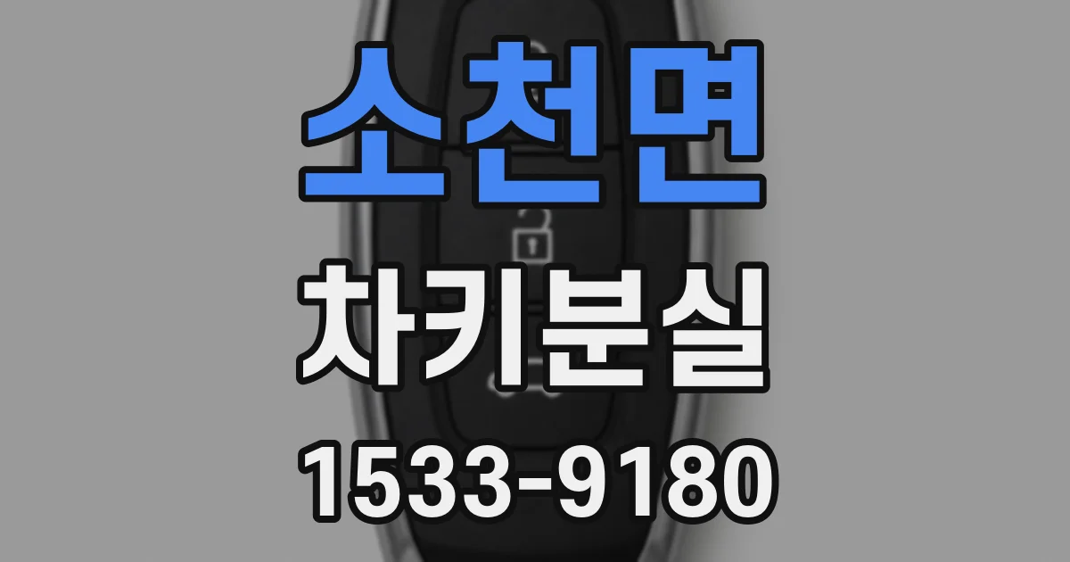 소천면 차키분실