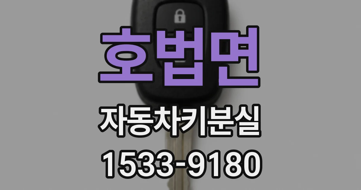 호법면 자동차키분실