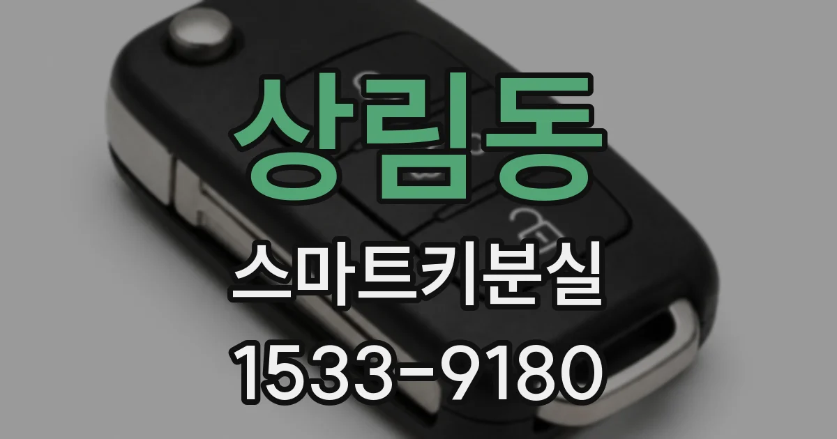 상림동 스마트키분실