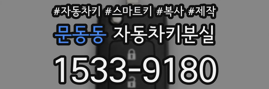 문동동 자동차키분실