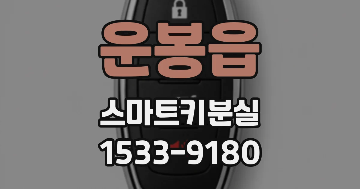 운봉읍 스마트키분실