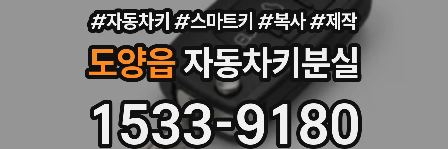 도양읍 자동차키분실
