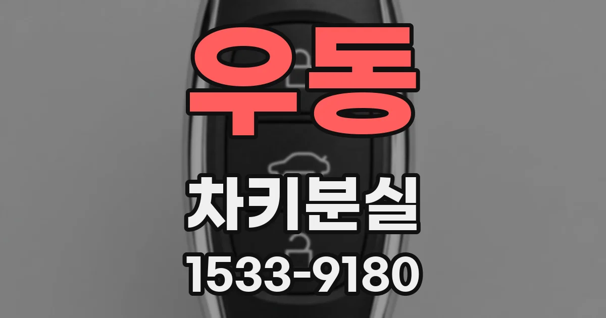 우동 차키분실