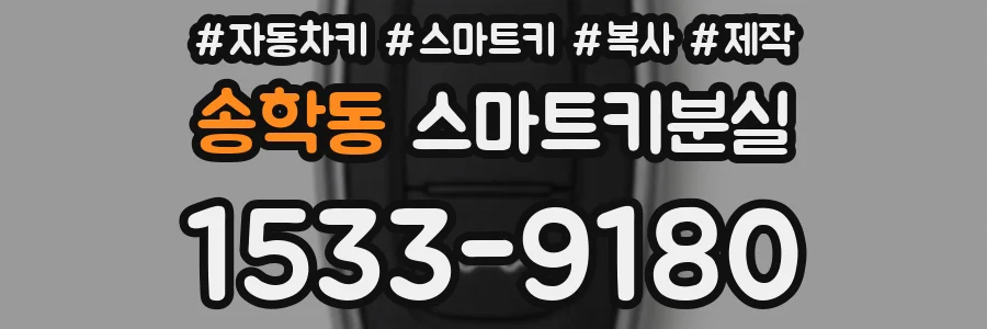 송학동 스마트키분실