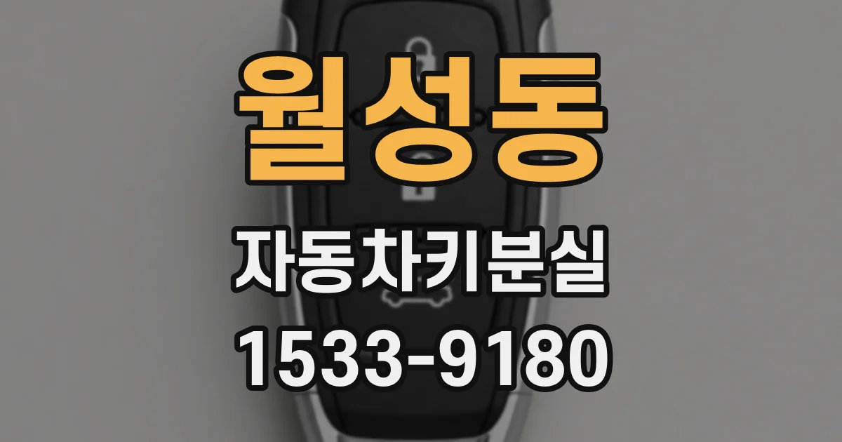 월성동 자동차키분실