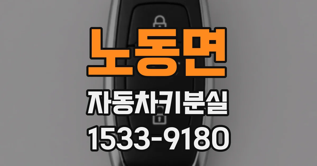 노동면 자동차키분실