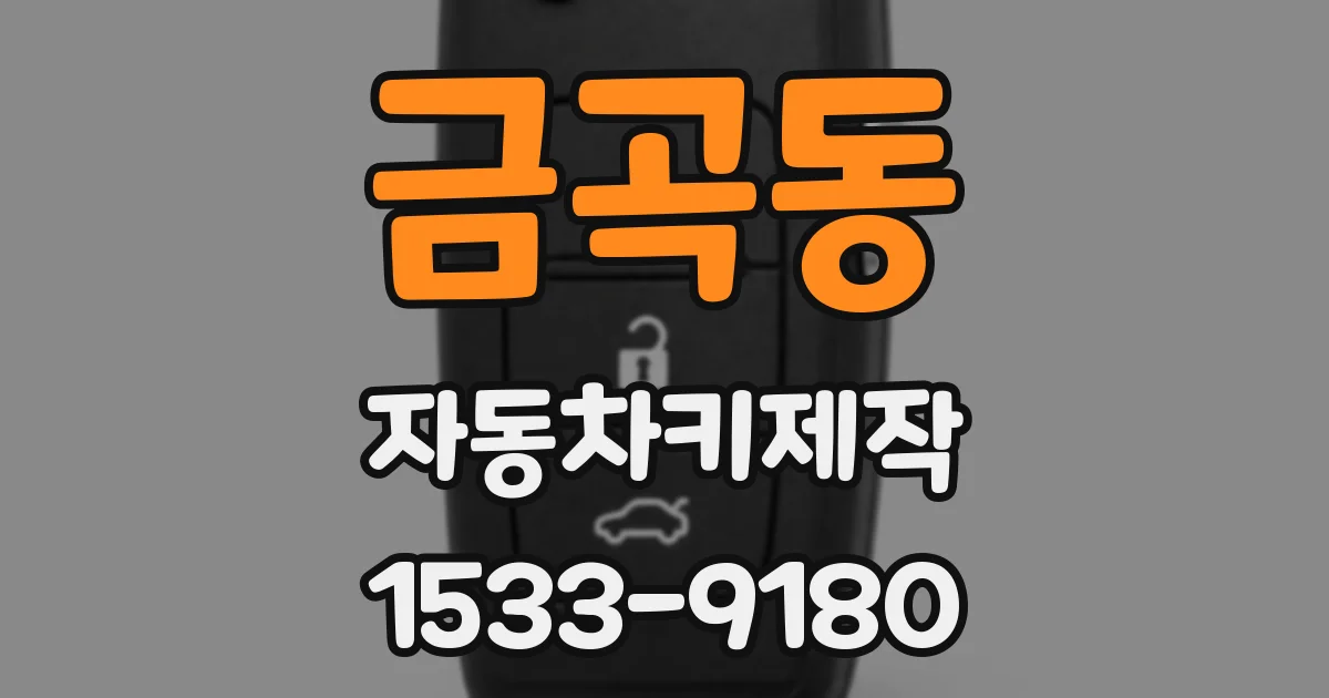 금곡동 자동차키제작