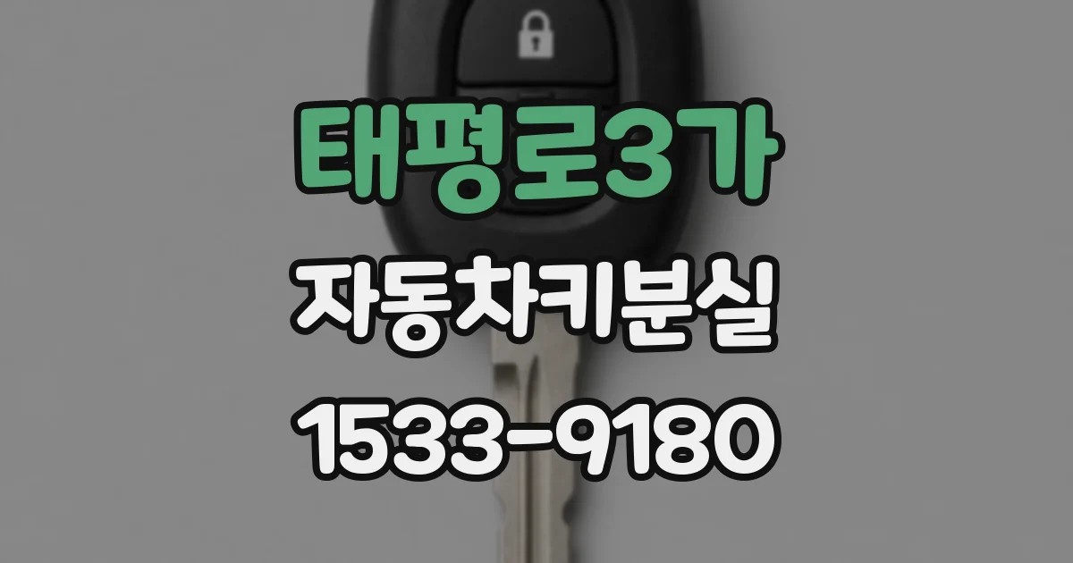 태평로3가 자동차키분실