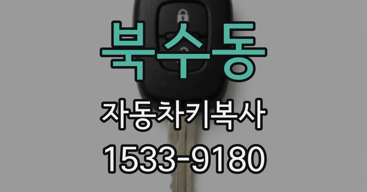 북수동 자동차키복사
