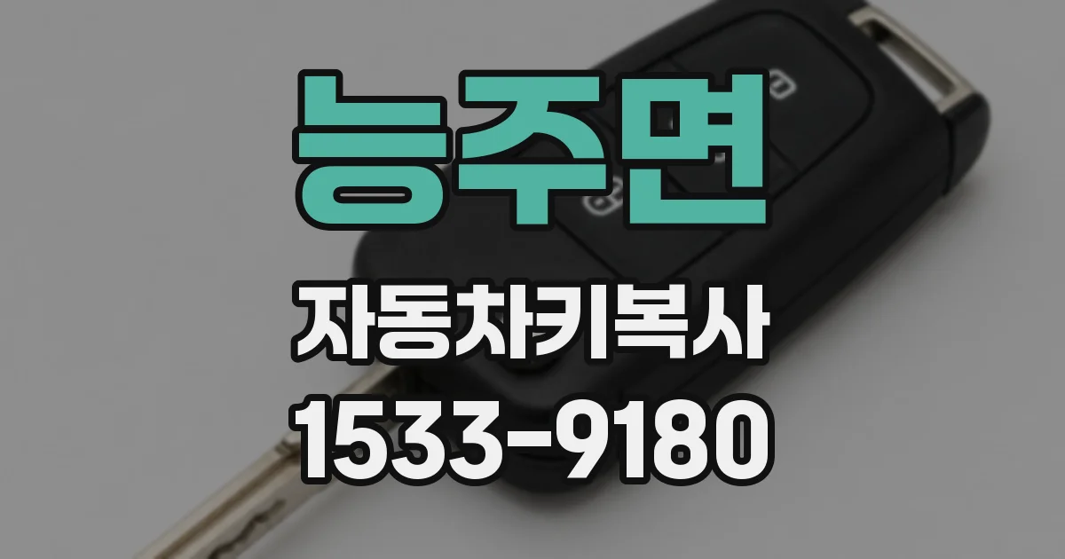 능주면 자동차키복사