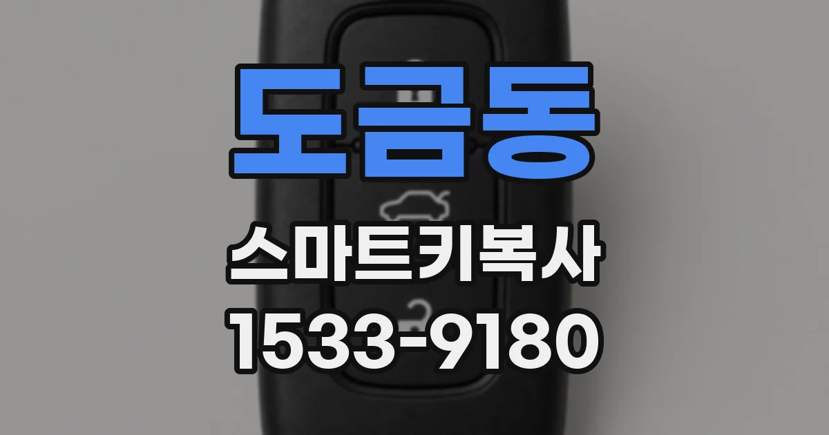 도금동 스마트키복사