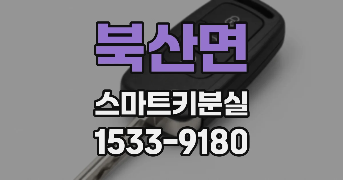 북산면 스마트키분실