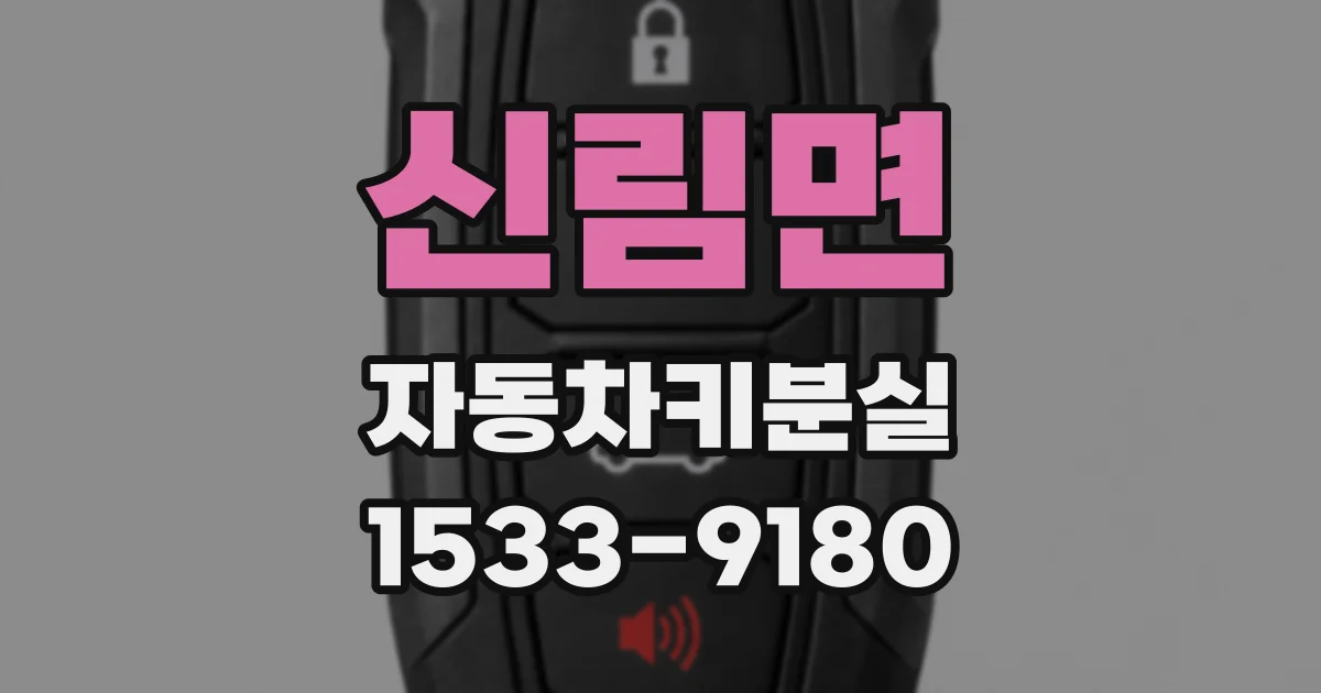 신림면 자동차키분실
